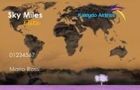 /album/sky-miles-program-the-cards/kaleydo-ff-card-elite-jpg/
